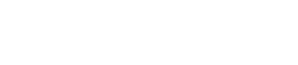 Swann Retail